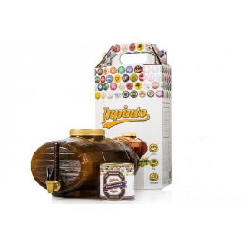 Домашняя мини-пивоварня InPinto Premium Kit
